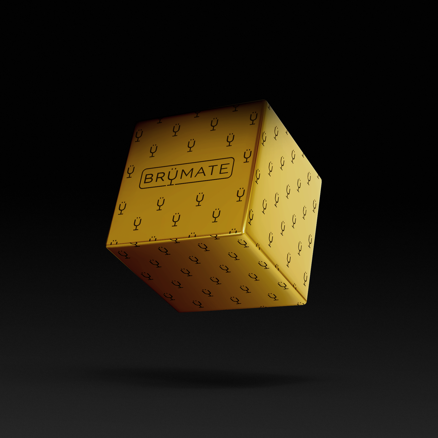premium-mystery-item-39-70-value-p4 IMG-1548.png